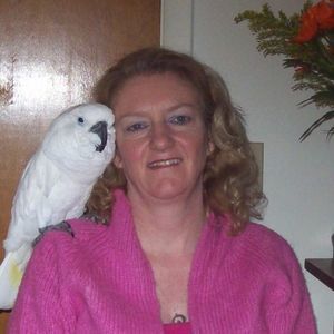 Meet your Posher, Robin